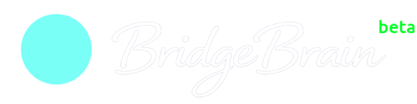 BridgeBrain AI